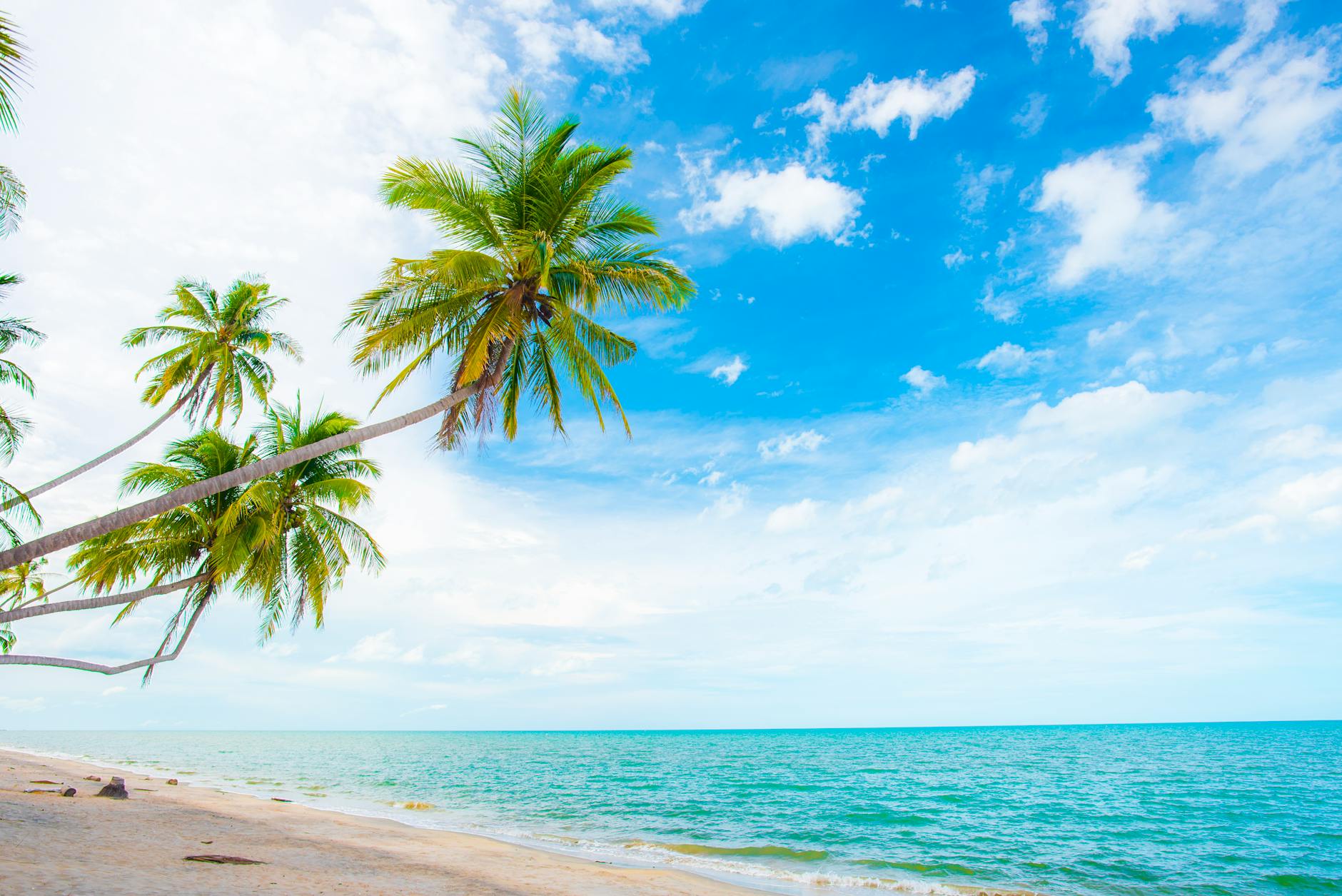 Mejor época para visitar Costalegre: liberación de tortugas y clima